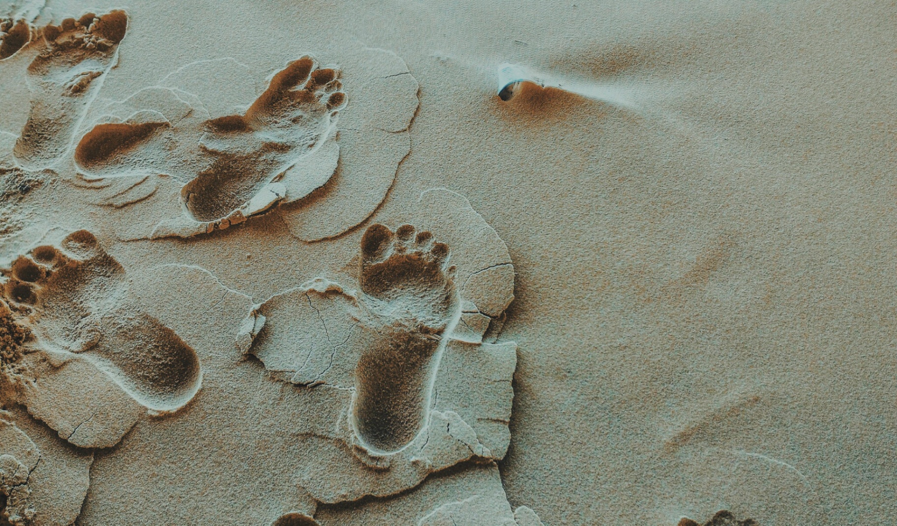 Image of footprints in the sand. Do you struggle to manage your epilepsy? Learn how an adult neuropsychological evaluation in Saint Petersburg, FL and epilepsy therapy can help!